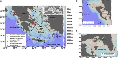 Distribution Patterns of Floating Microplastics in Open and Coastal Waters of the Eastern Mediterranean Sea (Ionian, Aegean, and Levantine Seas)